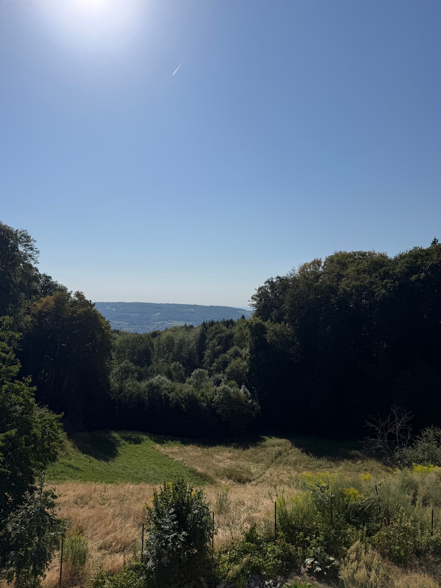 Wiesen und Wald auf dem Schienerberg rund um Hof Langenmoos