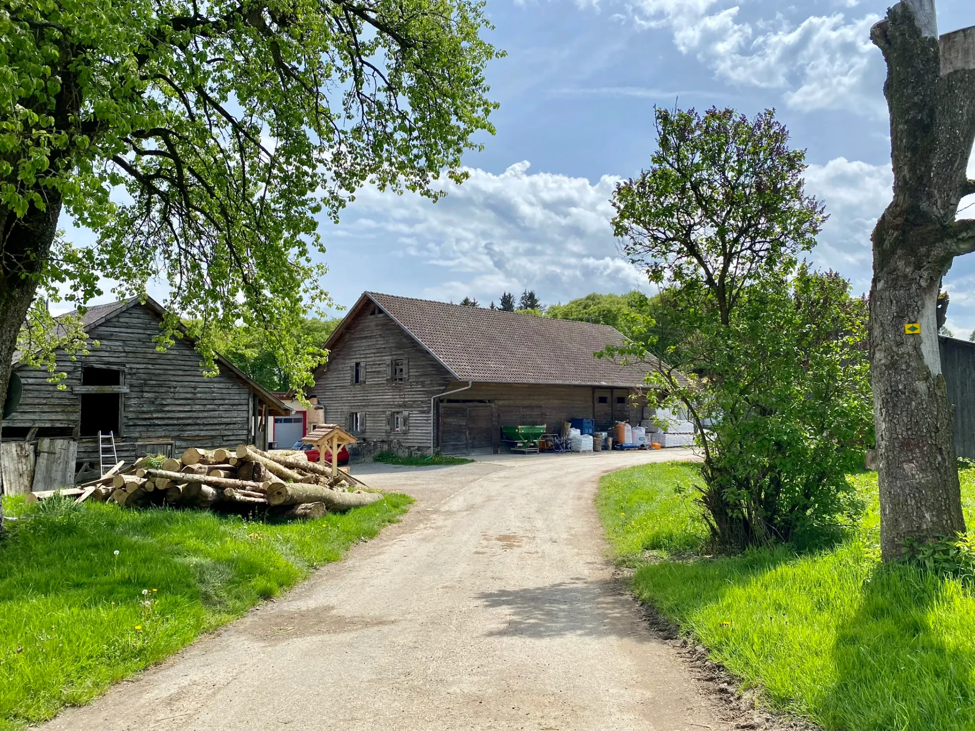 Scheune mit Holzstapel und Hofzufahrt am Hof Langenmoos