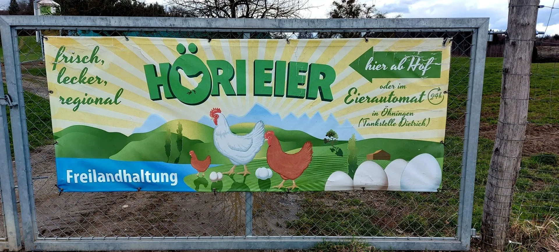 Banner am Hof: Höri Eier aus Freilandhaltung, hier ab Hof und im Eierautomat