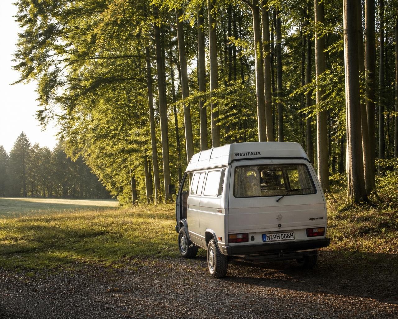 Campervan am Waldrand auf dem Schienerberg, morgens im Waldlicht